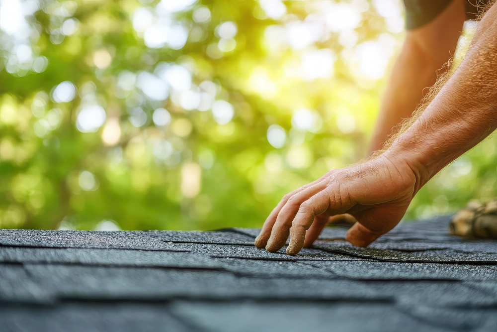 Free inspections